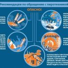 Рекомендации по пиротехнике.jpg