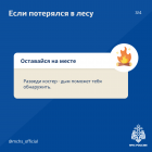 IMG_4449.png