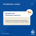 IMG_4438.png