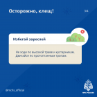 IMG_4437.png