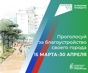 Голосование за благоустройство города