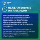 IMG_3319.jpeg