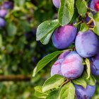 widen_960_crop_1000_667_0_0_q90_3736572_29b463e5ac6016244b3537c1c.jpeg