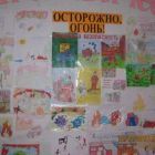 IMG_6669.jpg