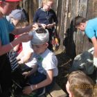 IMG_7080.jpg