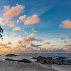 beach-palm-trees-sea-nature-landscape.jpg