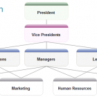 organization-structure.png
