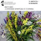 Выставка 1.jpg