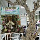 IMG_20201126_160106.jpg