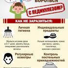 педикулез 1.jpg