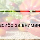 Слайд23.jpg