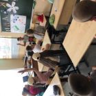 IMG_3484.jpg