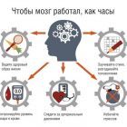 мозг3.jpg