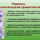 a405522e2cba874ba0b7b80ec50520012d57cbd6.jpg