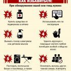 Педикулез 2.jpg