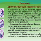 slide-15.jpg