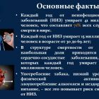 2 з.jpg