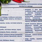 овощи 13.jpg