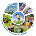 здоровье человека.png