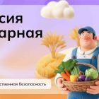 для статьи (6).jpg