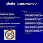slide-7.jpg