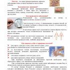 профилактика чесотки.jpg