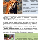 55b544d5982131e0998d0d7596329a94.png
