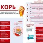 Корь.jpg