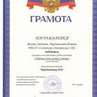 Вехова Мурзагалиева 2 кл.jpg