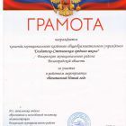 безопасный новый год.jpg