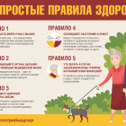 Правила здоровья 65+.png