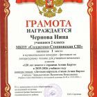 Чернова Нина 2 кл.jpg