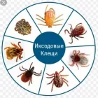 ffng6hV_wCvBepSV0imNSmRadtRuW2kM7RElO3kPFxnOdnS03PUzjvNl05A0ZtbzfjOk9e7uWjlVvWDscJ0miRzB4fskeuhOkCuUyIIJgV5sLwPYKioBHZl4LEopWy5p_ycsRXEtpkNXwEsx7YJinjNTpajulhs9oUh5gO3cH4xNpfTuSWvtn61-kYGy9eHmpPMS9L66ETXBiZwqzRYaC.webp