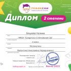 Диплом 2 степени.jpg