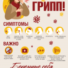 А3_Осторожно_грипп_0412.png