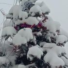 f0805489-502a-4fe8-b93a-1fc02241a802.jpg